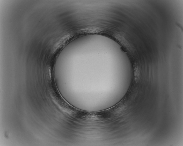 X0000099320254200805161407