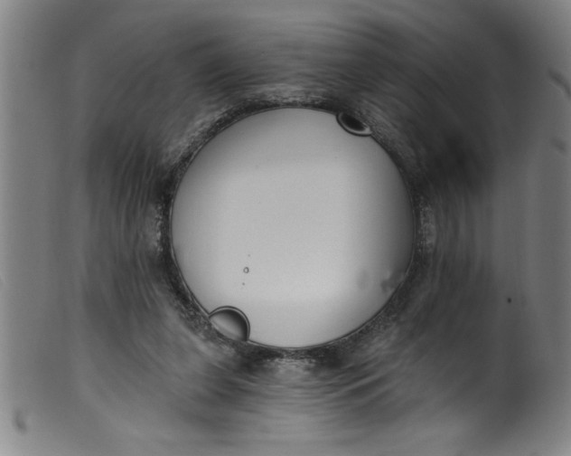 X0000099320255200805161407