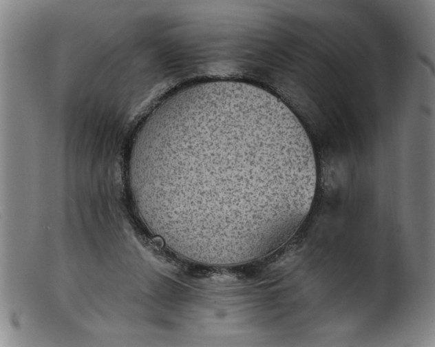 X0000099320256200805161407