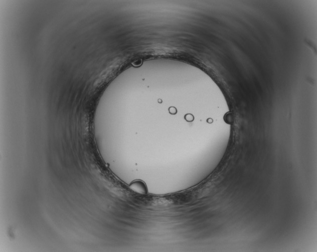 X0000099320257200805161407