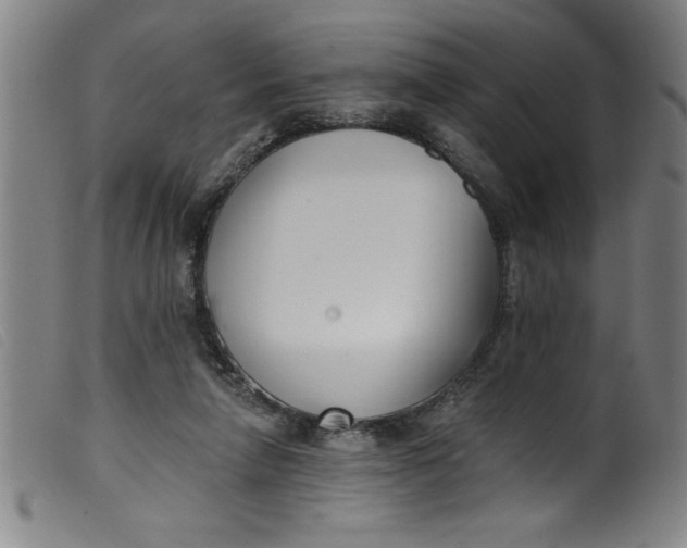 X0000099320258200805161407