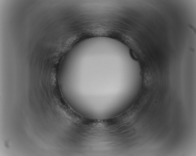 X0000099320259200805161407