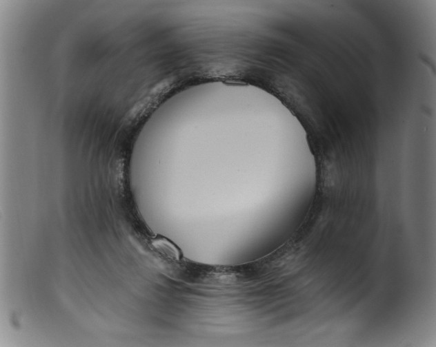 X0000099320260200805161407