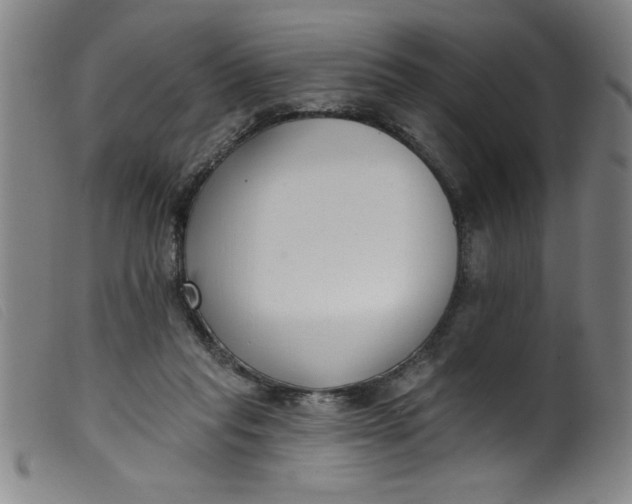 X0000099320261200805161407