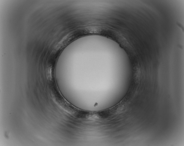 X0000099320262200805161407