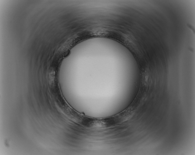 X0000099320263200805161407