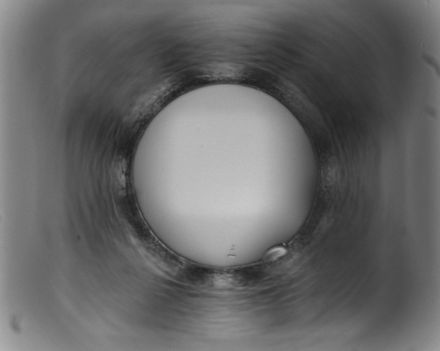 X0000099320264200805161407