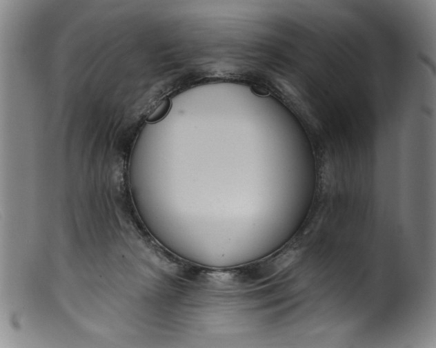 X0000099320265200805161407