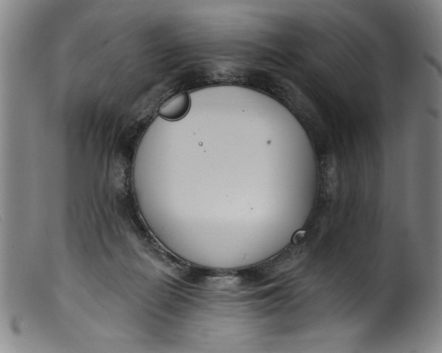 X0000099320266200805161407