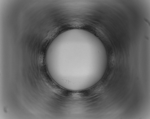 X0000099320268200805161407