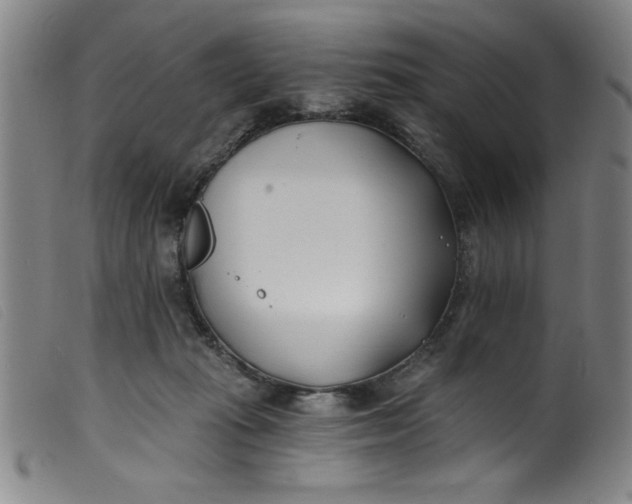 X0000099320269200805161407