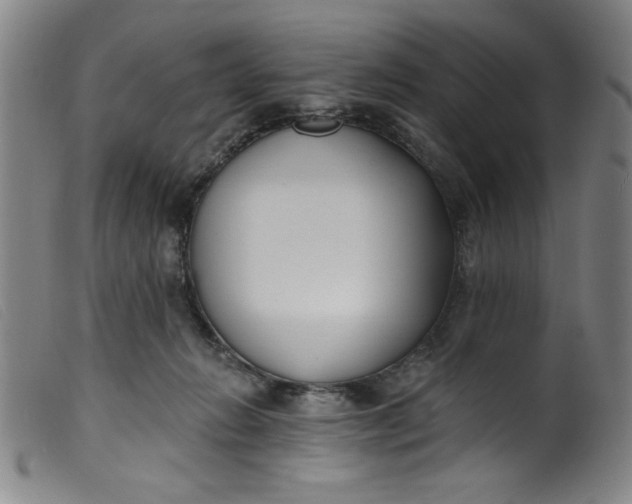 X0000099320270200805161407