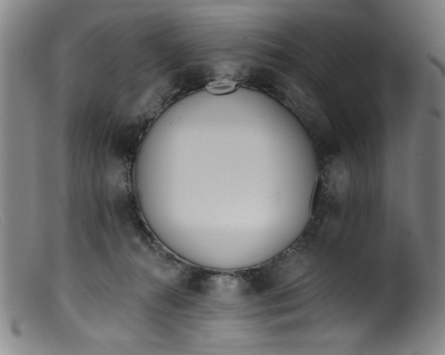 X0000099320272200805161407