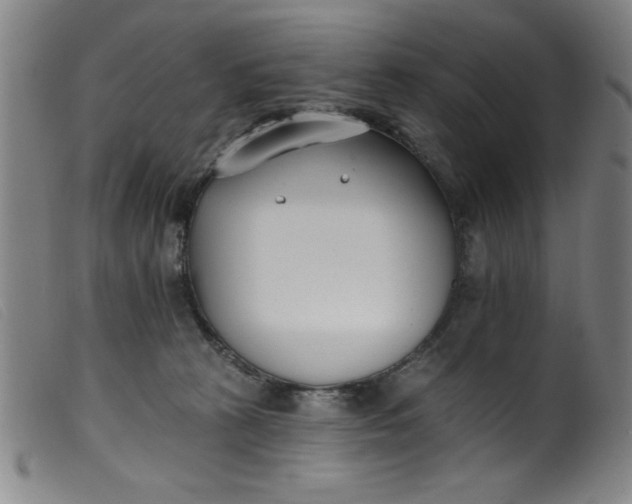 X0000099320273200805161407