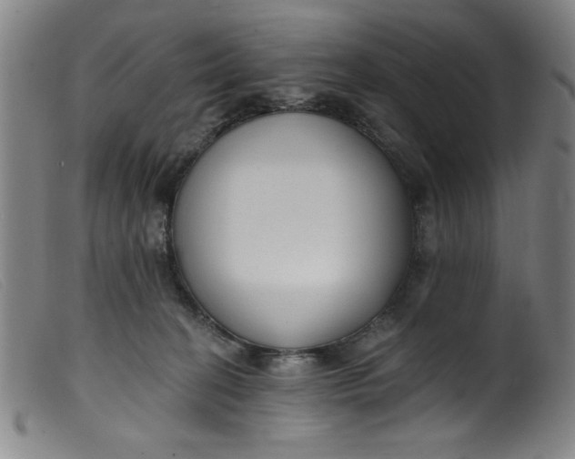 X0000099320274200805161407