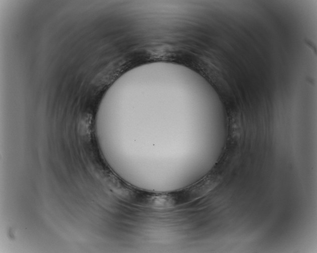 X0000099320275200805161407