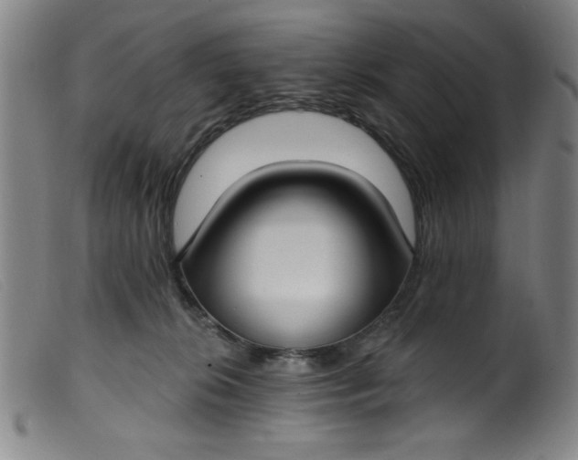 X0000099320276200805161407