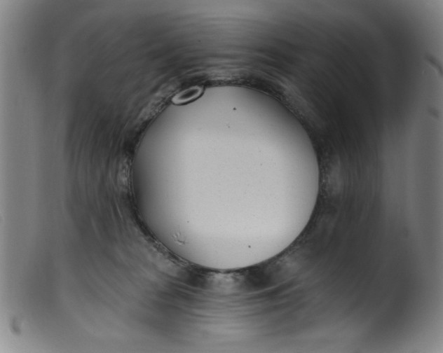 X0000099320277200805161408