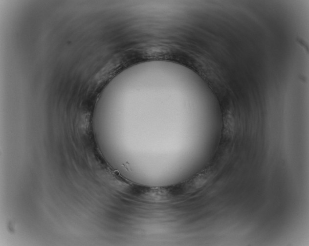 X0000099320278200805161408