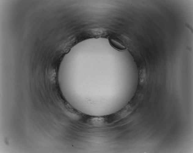 X0000099320279200805161408