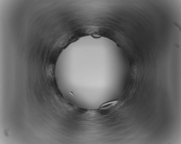 X0000099320280200805161408