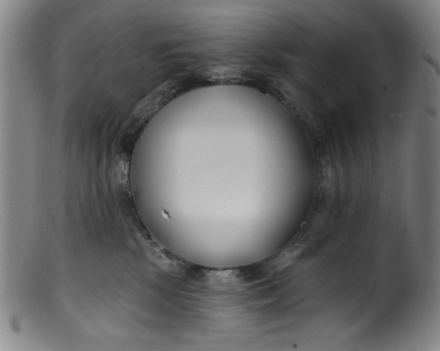 X0000099320281200805161408