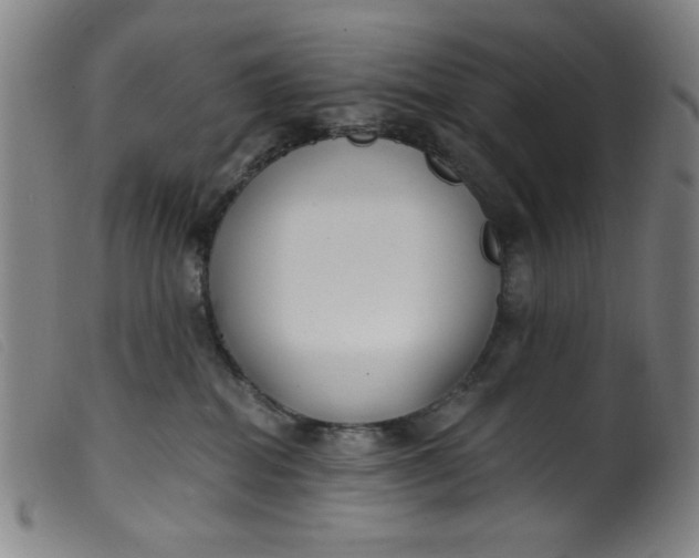 X0000099320282200805161408