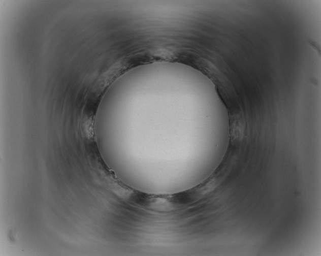 X0000099320285200805161408