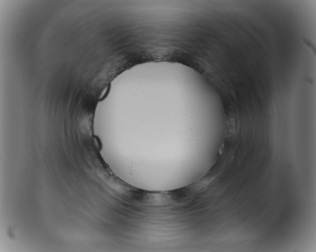 X0000099320286200805161408