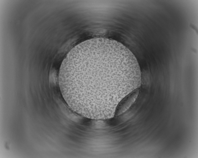 X0000099320287200805161408