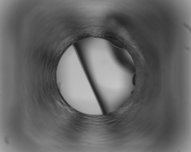 X0000099320288200805161408