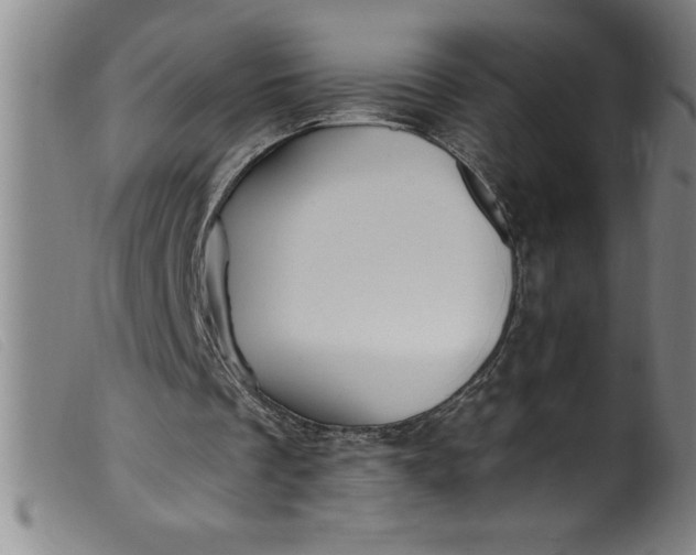 X0000099320289200805161407