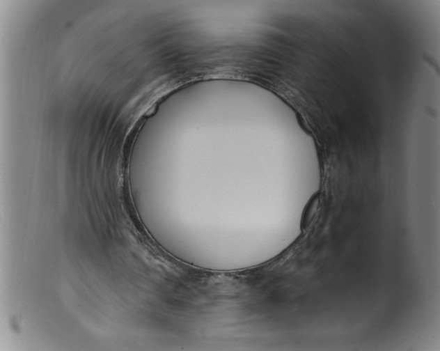 X0000099320290200805161407