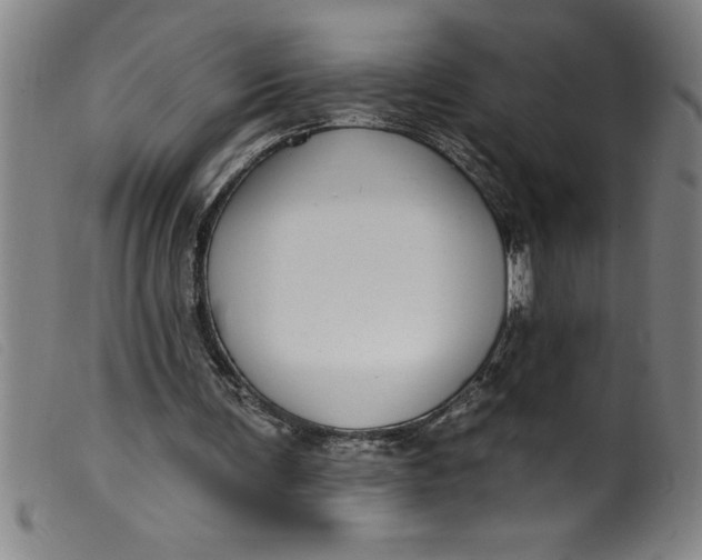 X0000099320291200805161407