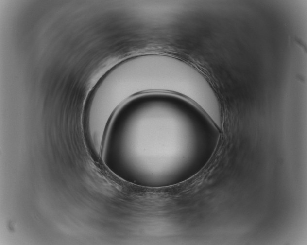 X0000099320292200805161407