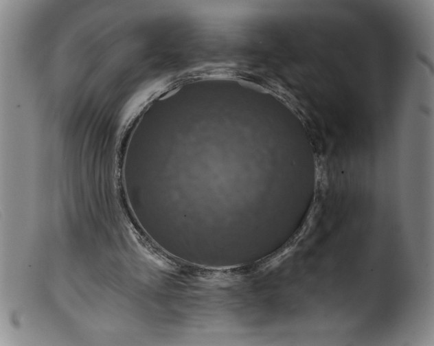 X0000099320293200805161407