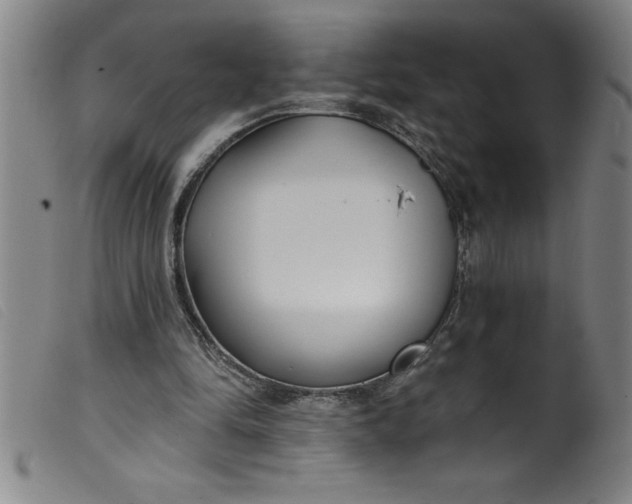 X0000099320294200805161407