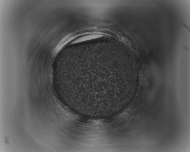 X0000099320295200805161407