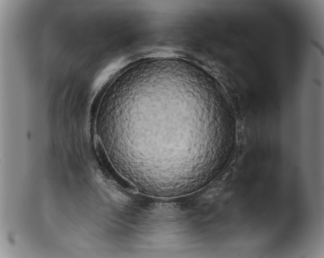 X0000099320296200805161407