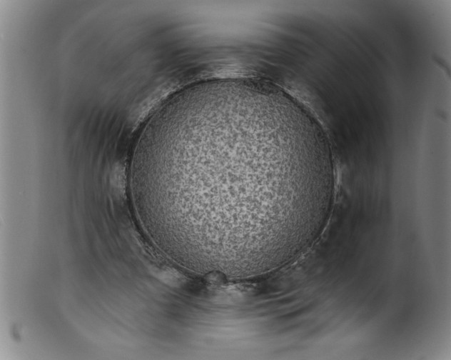 X0000099320297200805161407