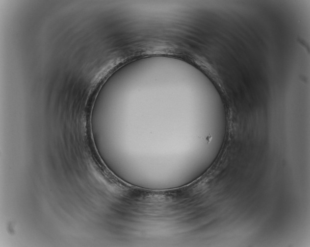 X0000099320298200805161407