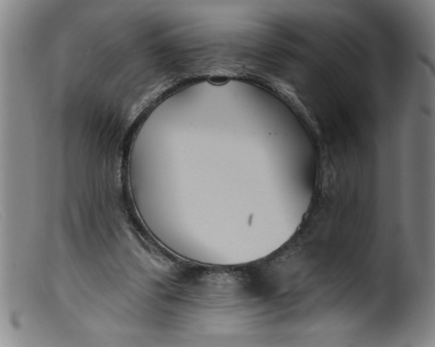 X0000099320299200805161407