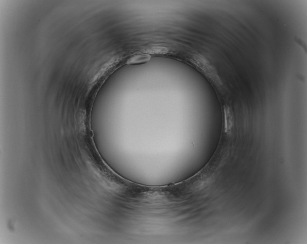 X0000099320300200805161407