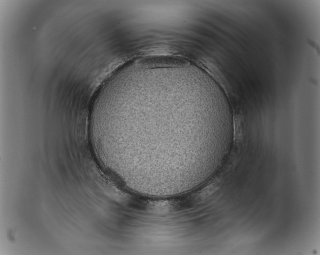 X0000099320301200805161407