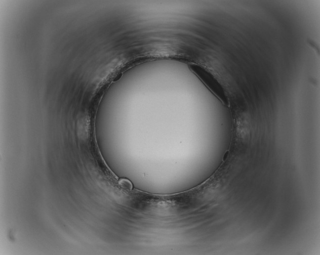 X0000099320304200805161407