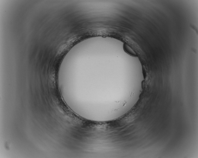 X0000099320306200805161407