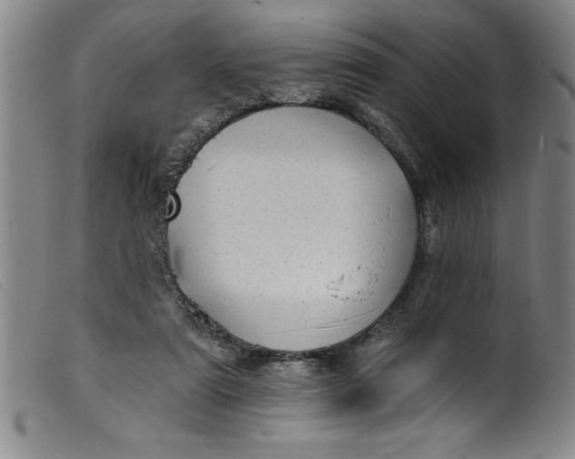 X0000099320307200805161407