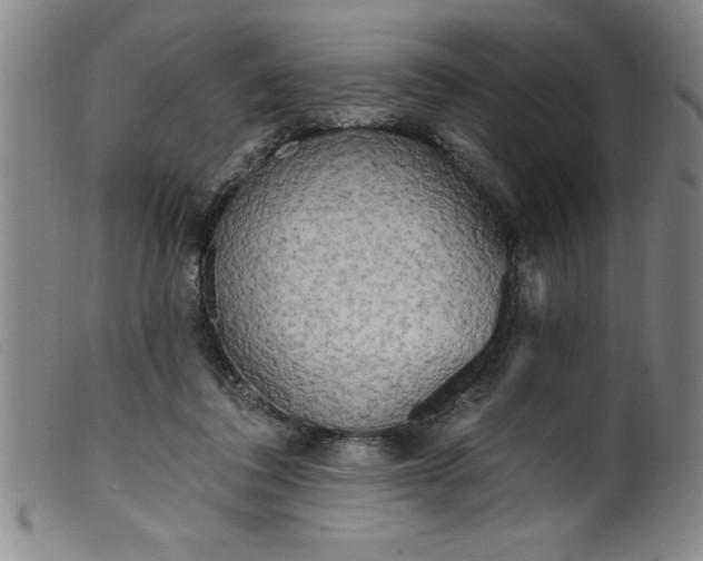 X0000099320308200805161407