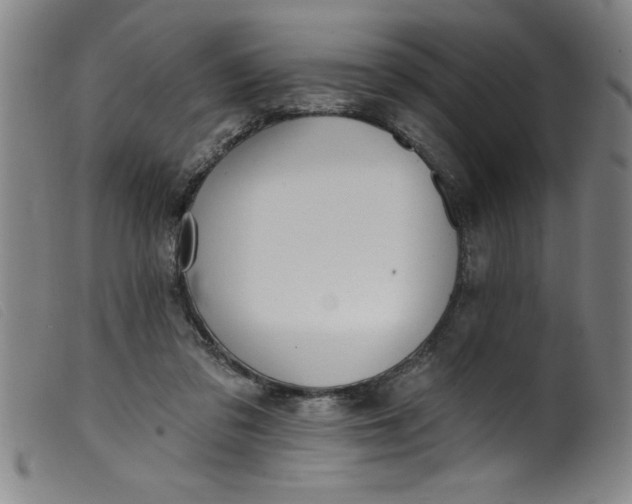 X0000099320309200805161407