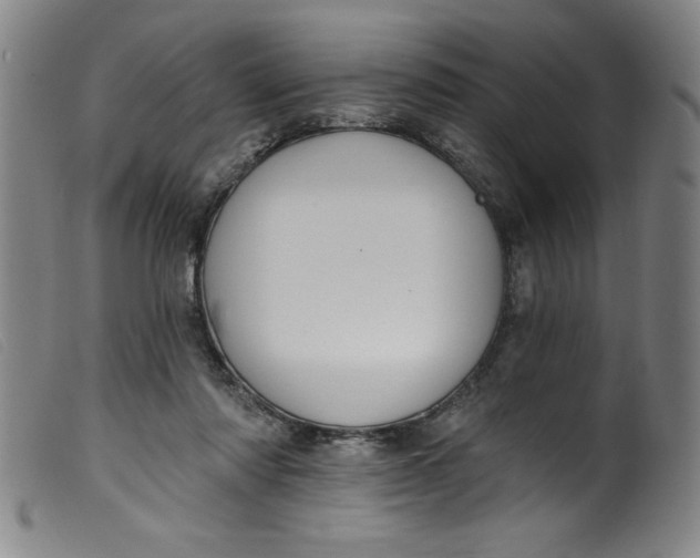 X0000099320310200805161407